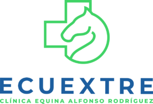 clinicaequinaecuextre